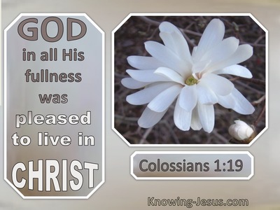 God's fullness in Christ